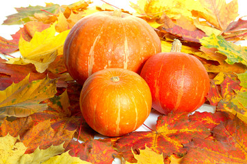 Naklejka na ściany i meble three pumpkins between colorful autumn maple leaves