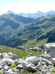 Fototapeta na wymiar Panorama des Alps