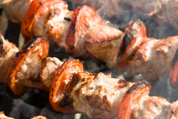 Shish kebab preparation on a brazier. Outdoor picnic. Close up.