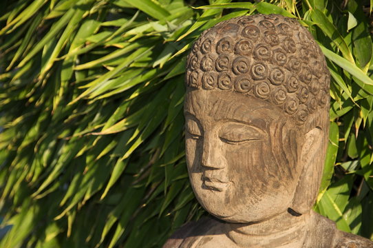 tete de buddha sur fond de bambous