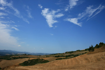 Fototapeta premium Toskana. Sommerlandschaft in der Provinz Siena