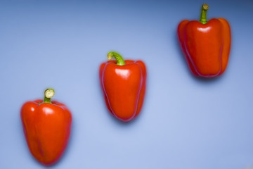 Red peppers isolated on blue background