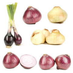 Onions isolated on white, different viewpoints.