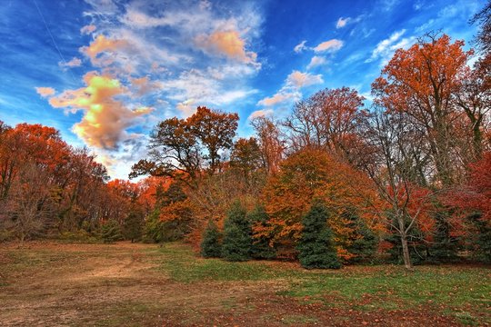 Rock Creek Park At The Evening, Washington DC