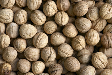 walnuts