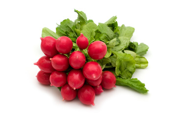 fresh radish on white background