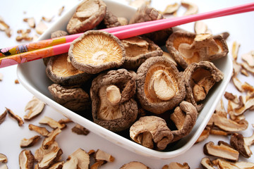 pilze