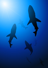 Fototapeta premium Deep blue shark background