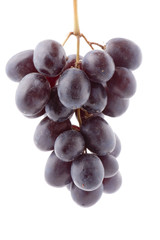 object on white - food Red grapes
