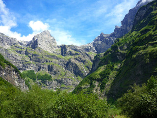 Fototapeta premium paysage