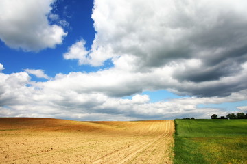 fields landscape