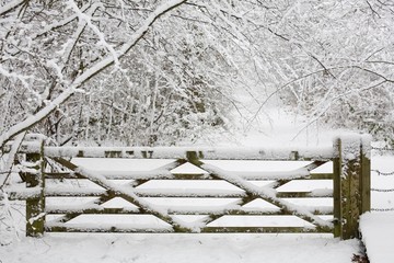 Fototapeta na wymiar Wooden gate in snow