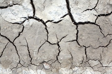 very dry ground at summer time