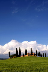 Zypressen mit Haus vor blauem Himmel,Toskana,Italien