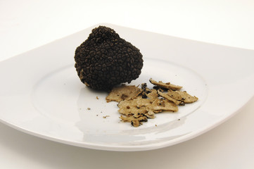 Primizia del sottobosco