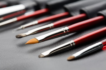 Set of professional make-up brushes