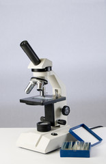 Microscope and prepared slides