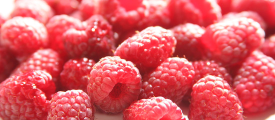 background wth fresh red raspberries