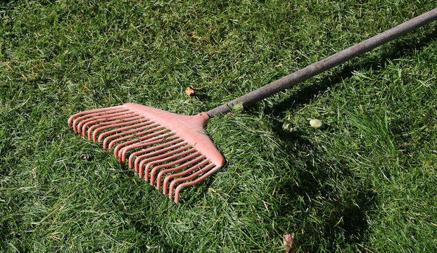 Old rake