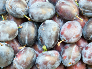 Background from plum fruits