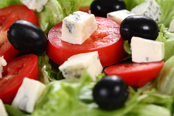 Vegetable salad with cheese