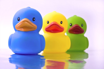 three rubber ducks with reflection