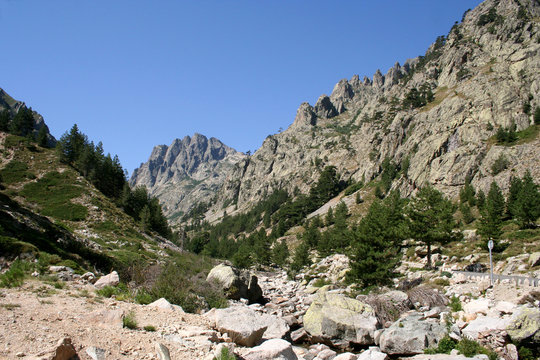 La vall&eacute;e de la Restonica