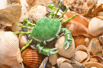 Green crab on shells - obrazy, fototapety, plakaty