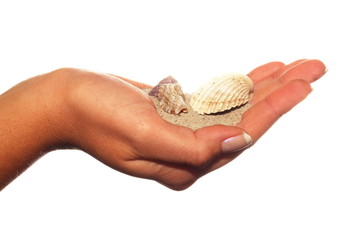shells and sand on hand