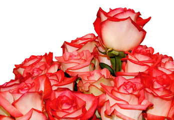 Roses Bouquet flower shop Valentines Bouquet 