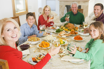 Family All Together At Christmas Dinner