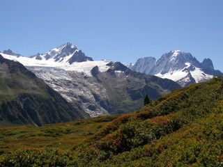 Aiguilles et glacier
