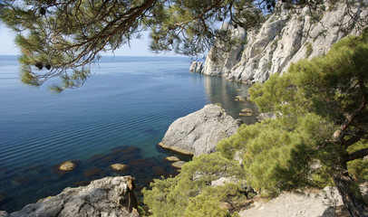 Imperial bay. Summer. Crimea. 2008