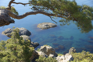 Imperial bay. Summer. Crimea. 2008