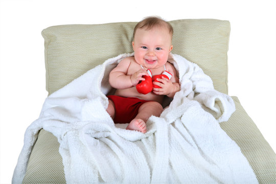 Portrait of the small boxer on a white background