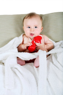 Portrait of the small boxer on a white background