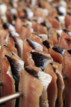 Pr&eacute;paration au fumage du poisson