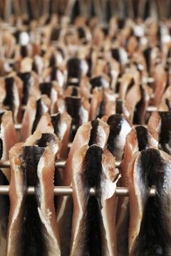 Pr&eacute;paration au fumage du poisson