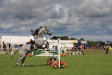 horse jumping at the Anglesey Show in North Wales