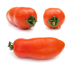 Tomato long three views