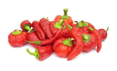 Red paprikas pile hot peppers