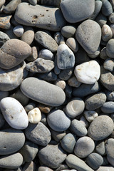Fototapeta na wymiar pebbles on the beach of the Black Sea
