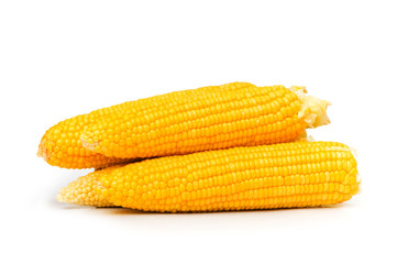 Corn cobs isolated on the white background