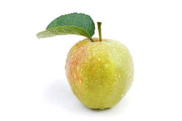 Apfel
