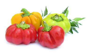 Red, yellow and green paprikas bell peppers