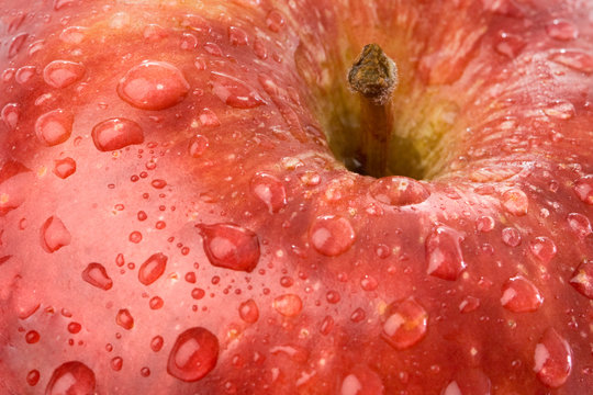 Macro apple with red drops of water - Shallow depth of field