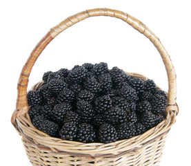Fototapeta na wymiar Wum basket with a fresh blackberry