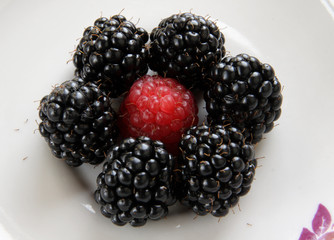 Porcelain dish with a fresh blackberry and raspberry