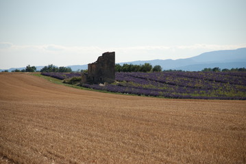 paysage proven&ccedil;al