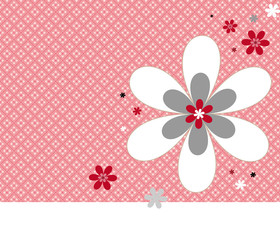 Fond graphique horizontal fleurs roses et blanches